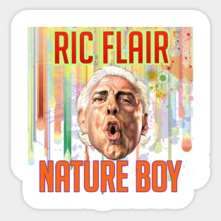 Ric flair nature boy Sticker